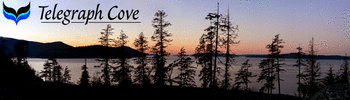 Telegraph Cove Marina & RV Park Logo